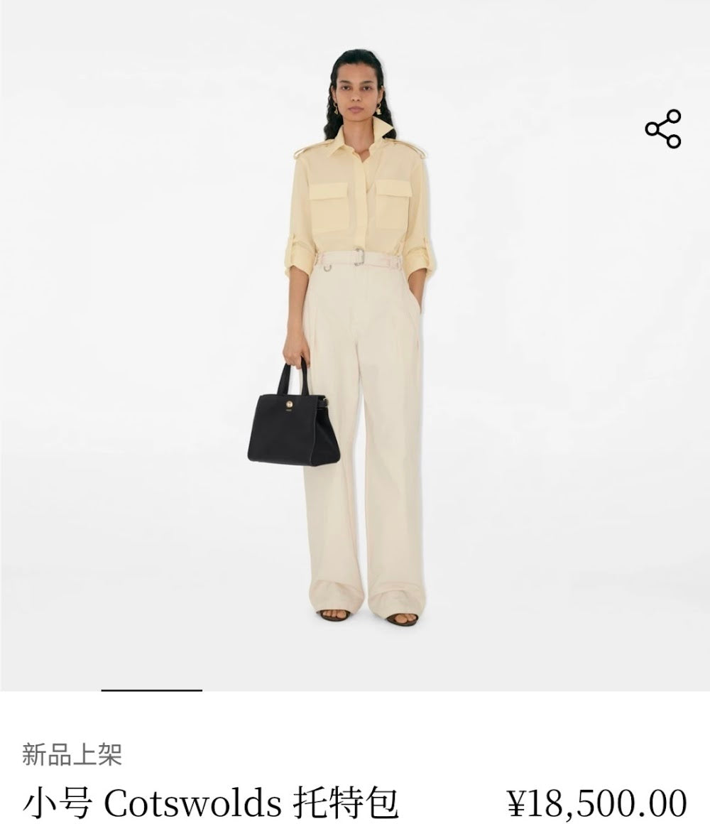 Dragons Bags Burberryn Luxury Bag --92614