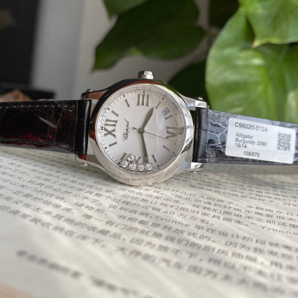 Dragons Bags Luxury Designer Watch --103373