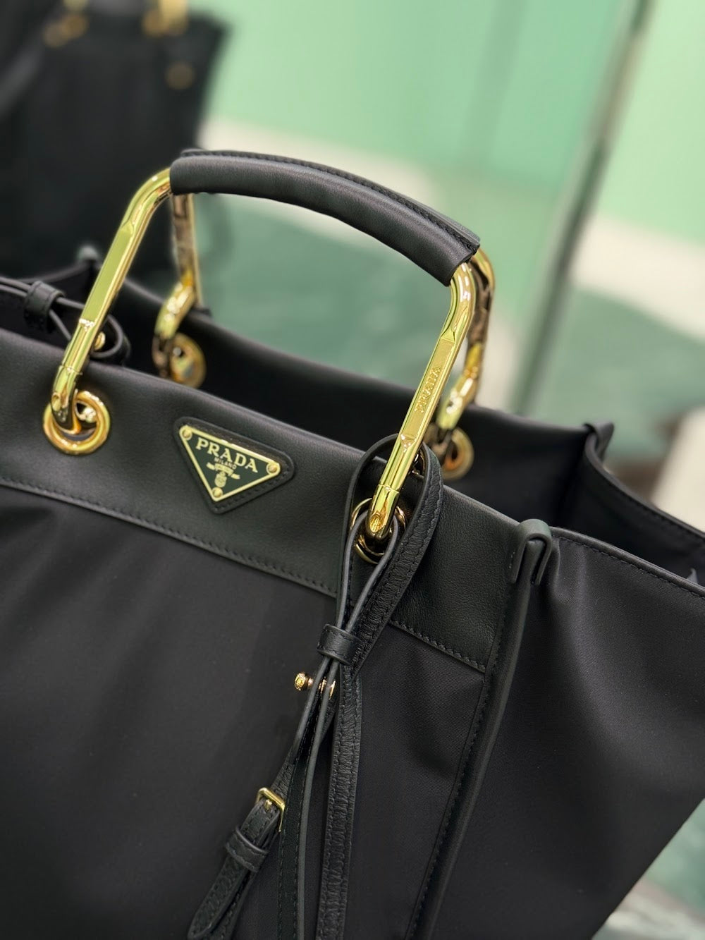Dragons Bags Pradn Luxury Bag --102073