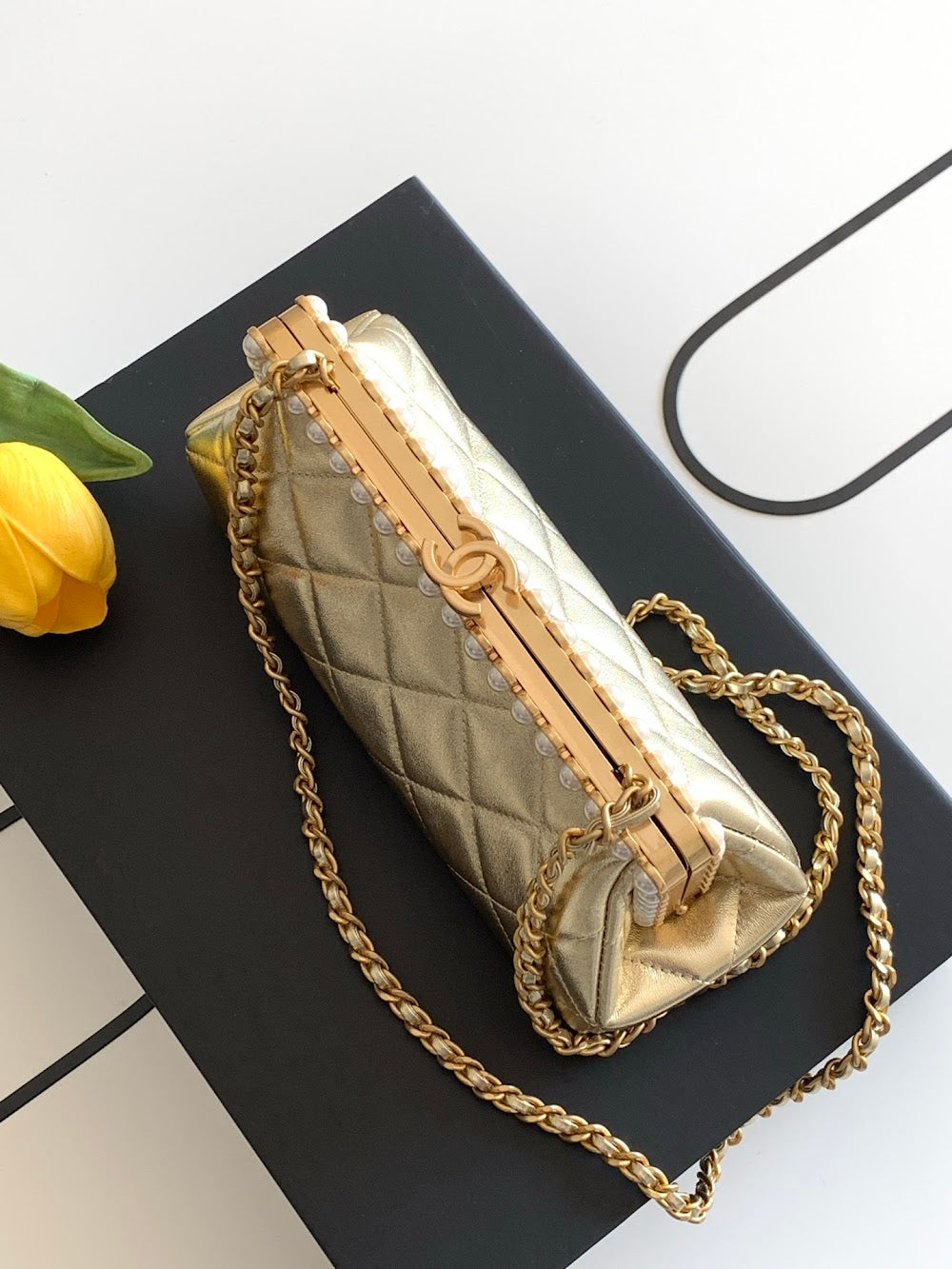 Dragons BagsCHn Luxury Bag --113846