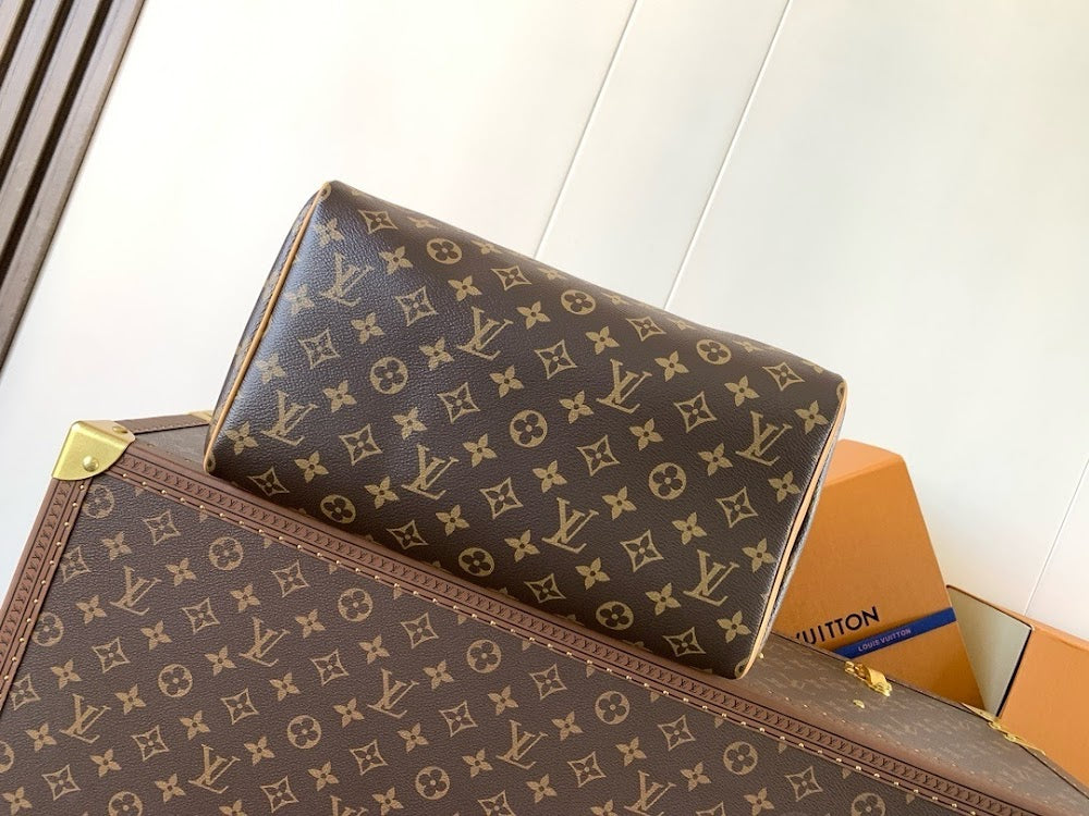 Dragons Bags LVn Luxury Bag --80259