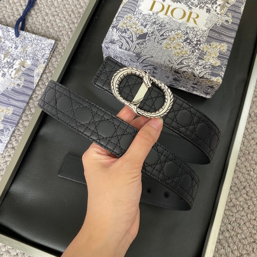 Dragons Bags Diorn Luxury Belt --104899