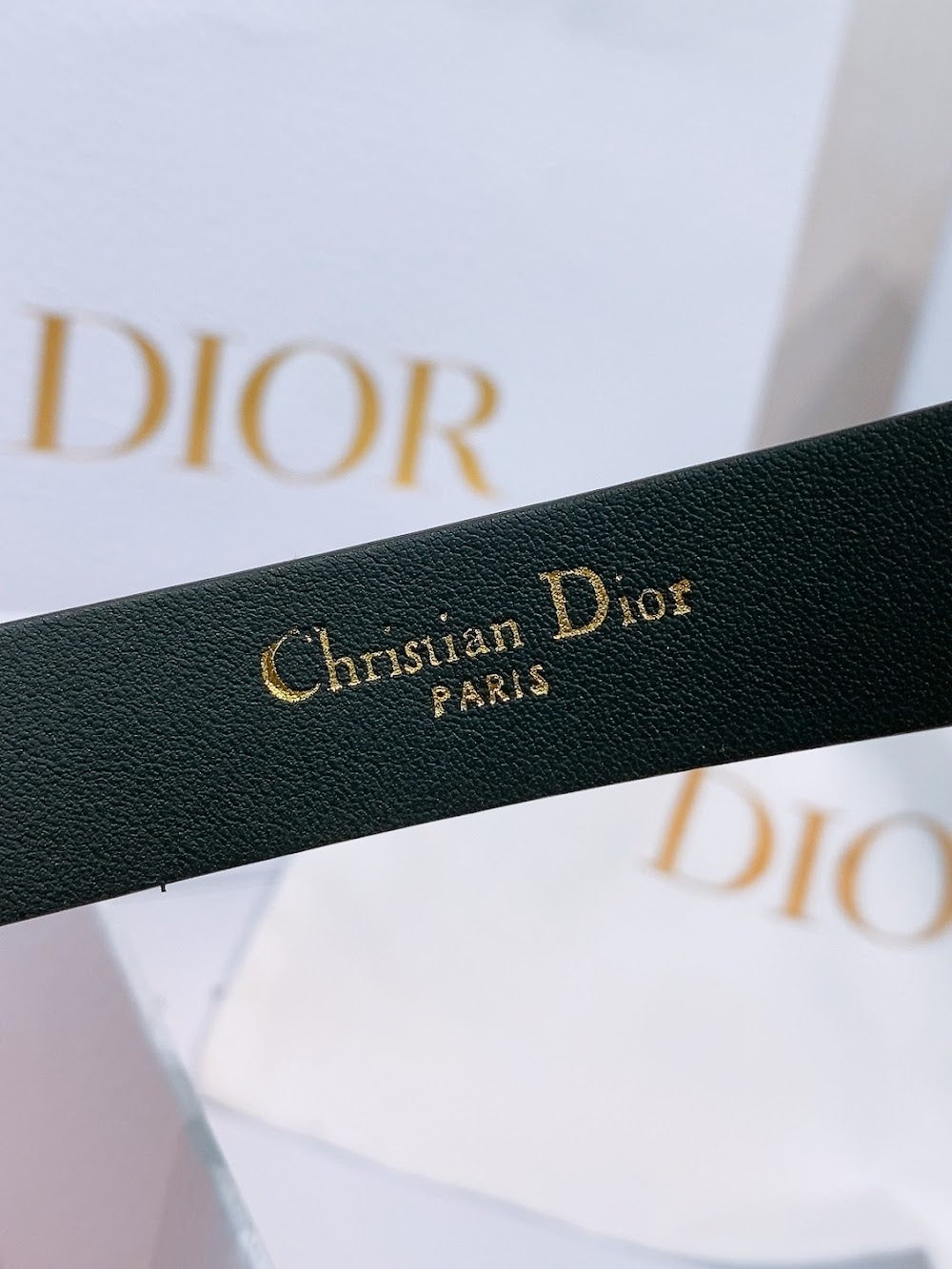Dragons Bags Diorn Luxury Belt --107821