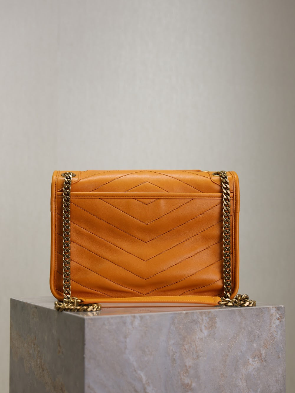 Dragons Bags YSLn Luxury Bag --119737