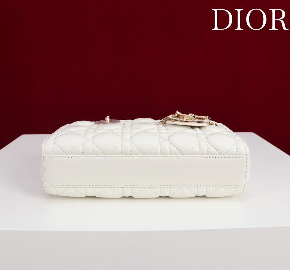 Dragons BagsDiorn Luxury Bag --115625
