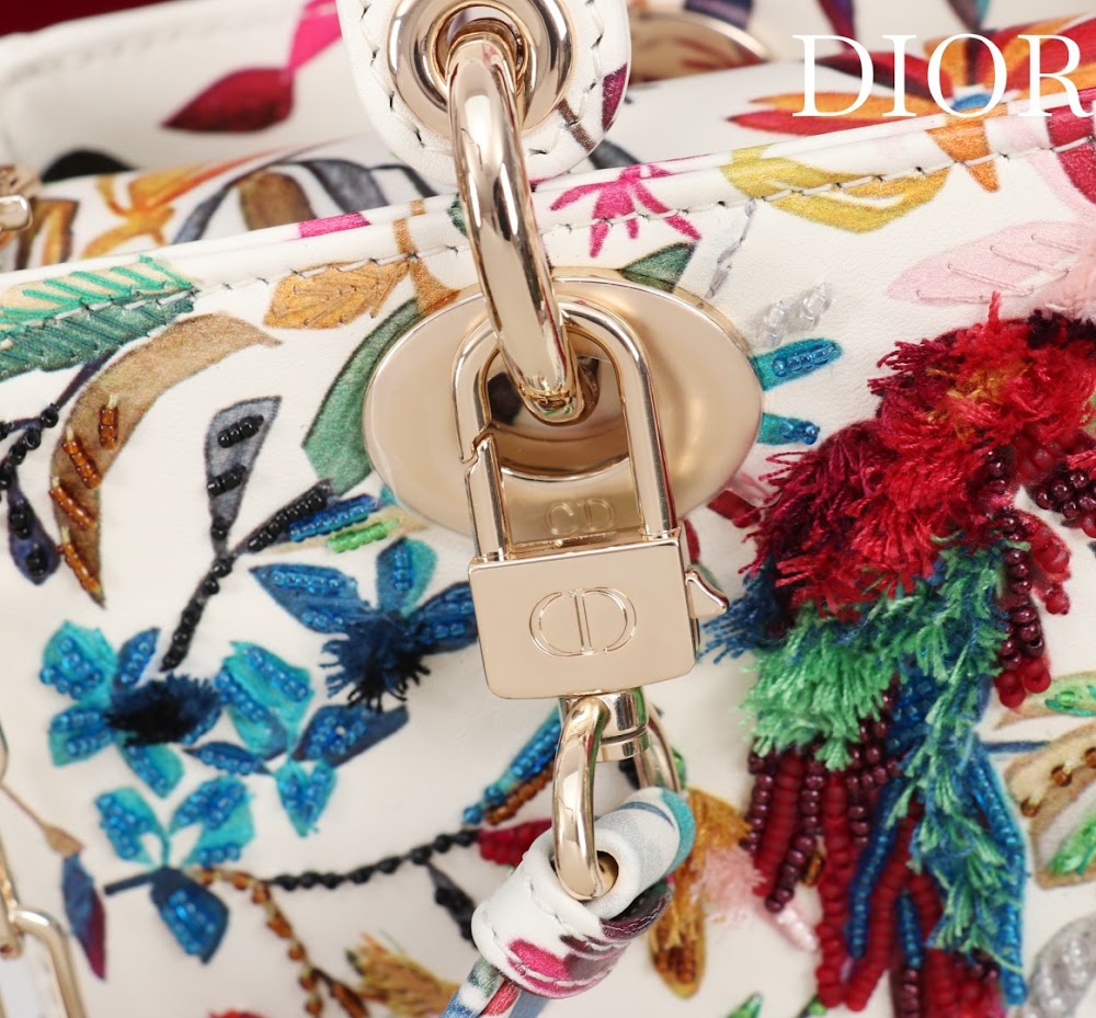 Dragons BagsDiorn Luxury Bag --114708