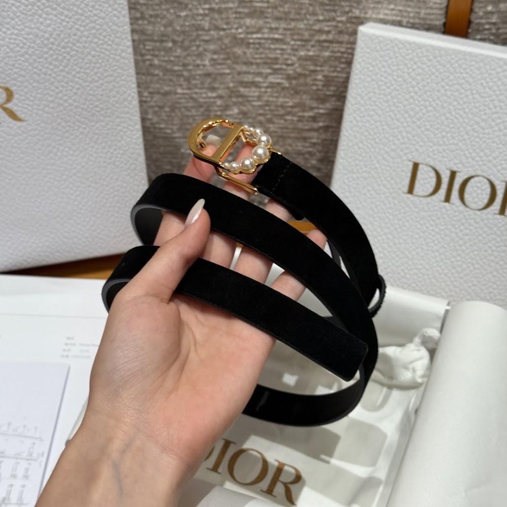 Dragons Bags Diorn Luxury Belt --104978