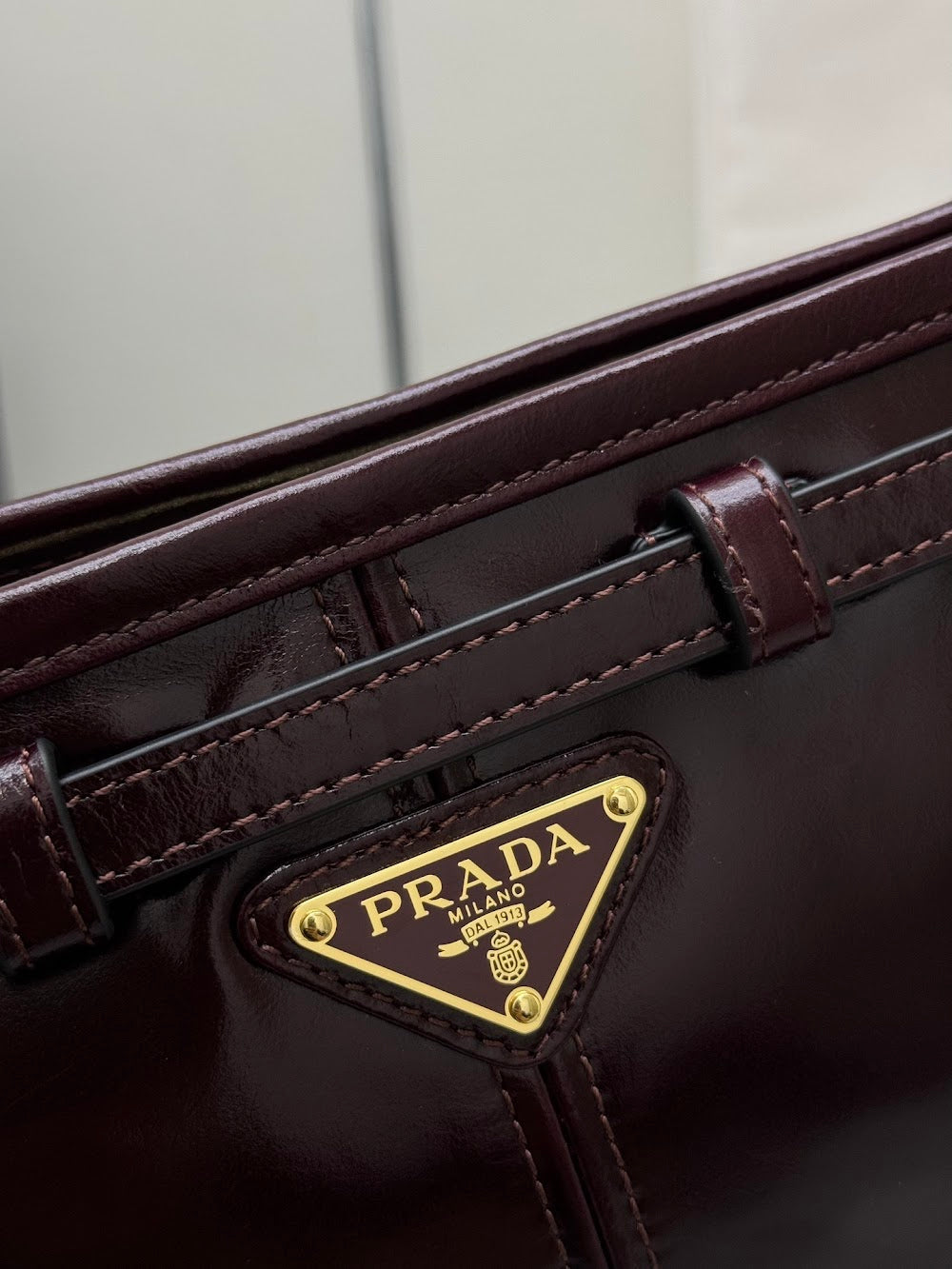 Dragons Bags Pradn Luxury Bag --101371