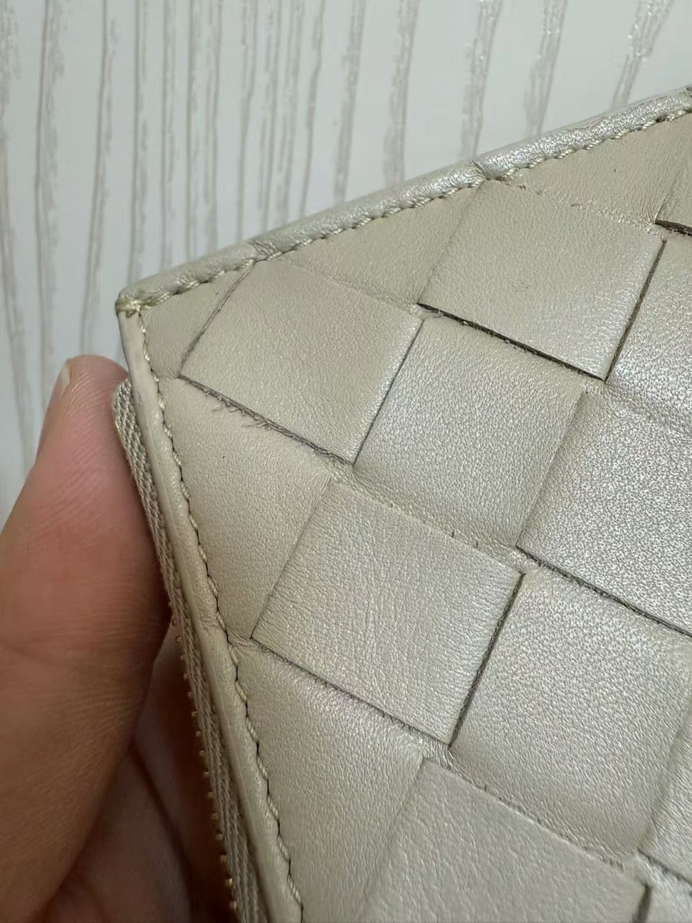 Dragons Bags Bottegan Luxury Bag --90698