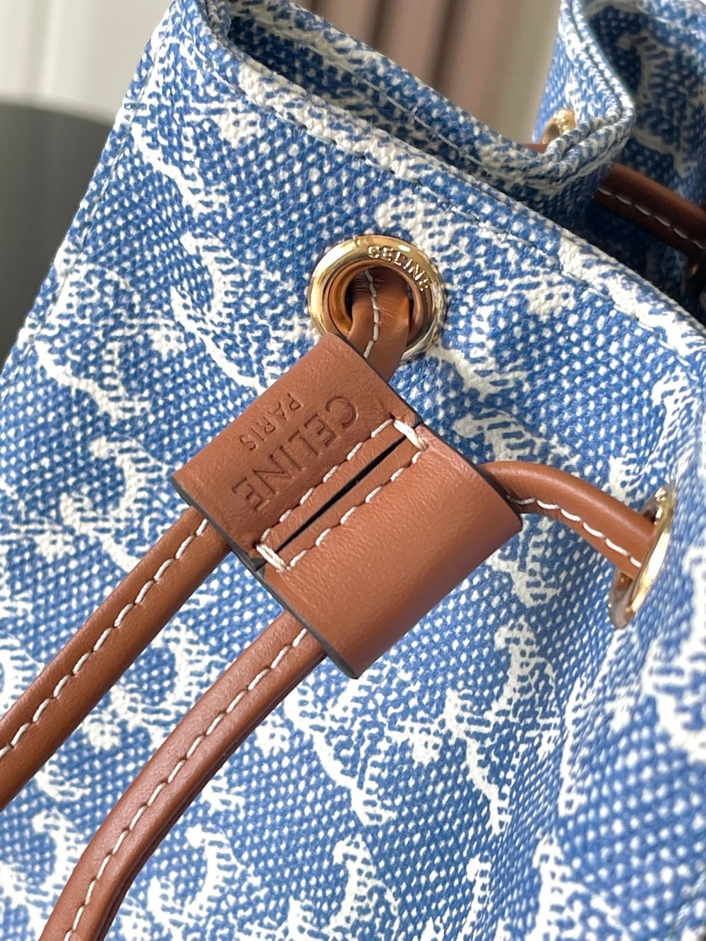 Dragons Bags Celine Luxury Bag --112321