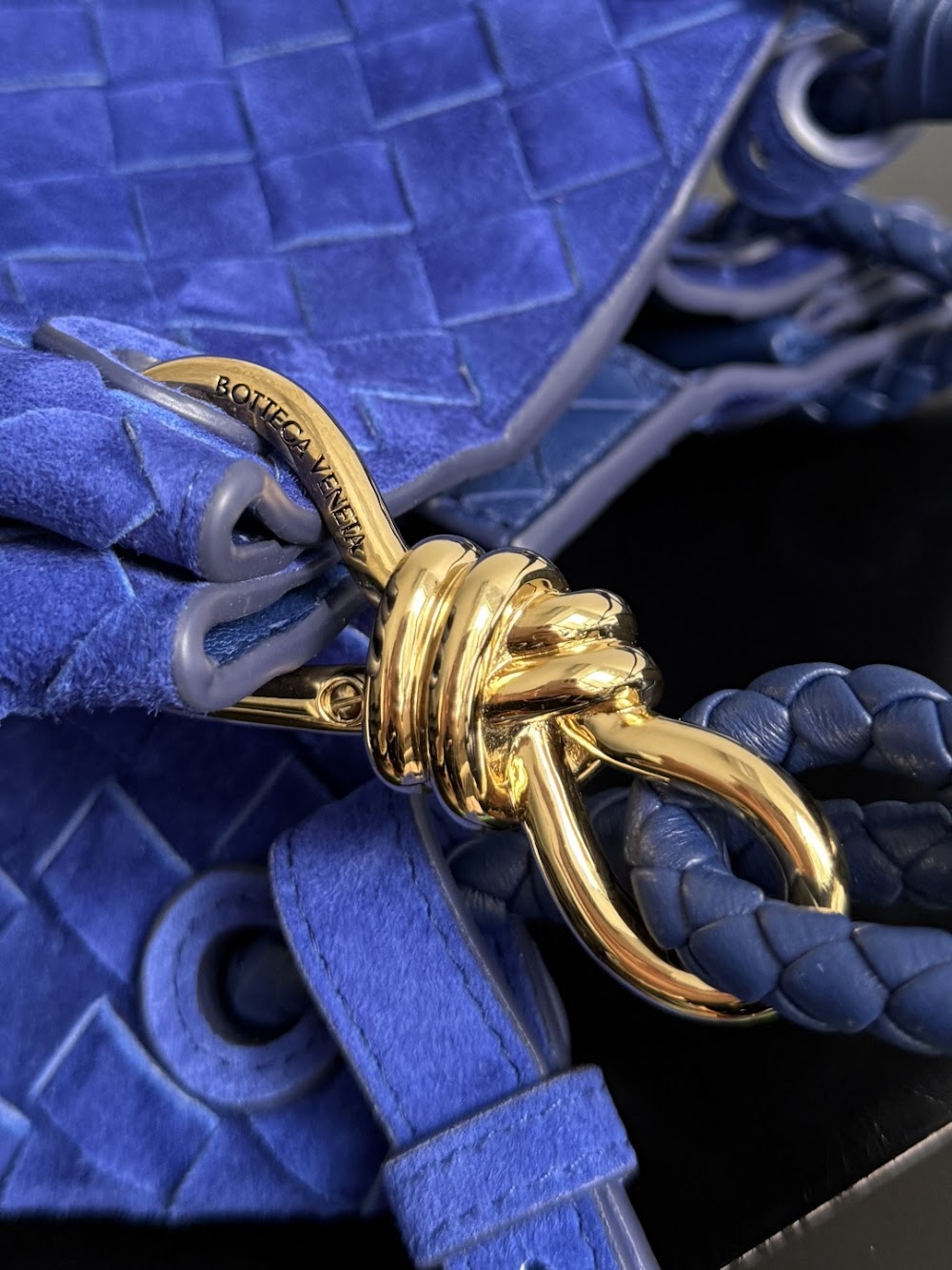 Dragons Bags Bottegan Luxury Bag --90978