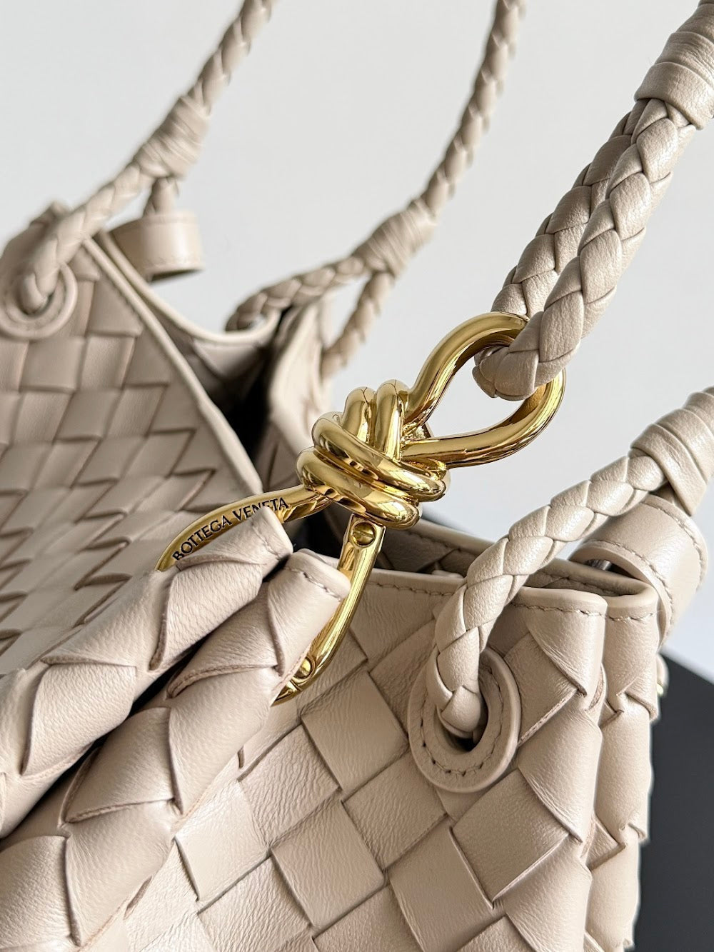 Dragons Bags Bottegan Luxury Bag --91382