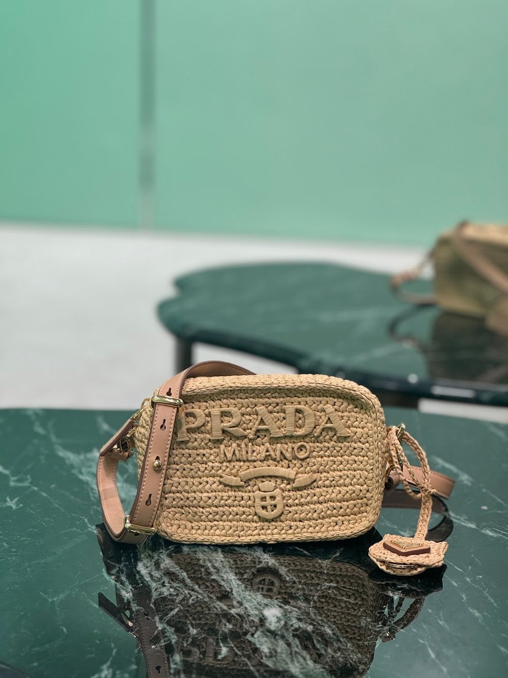 Dragons Bags Pradn Luxury Bag --102081