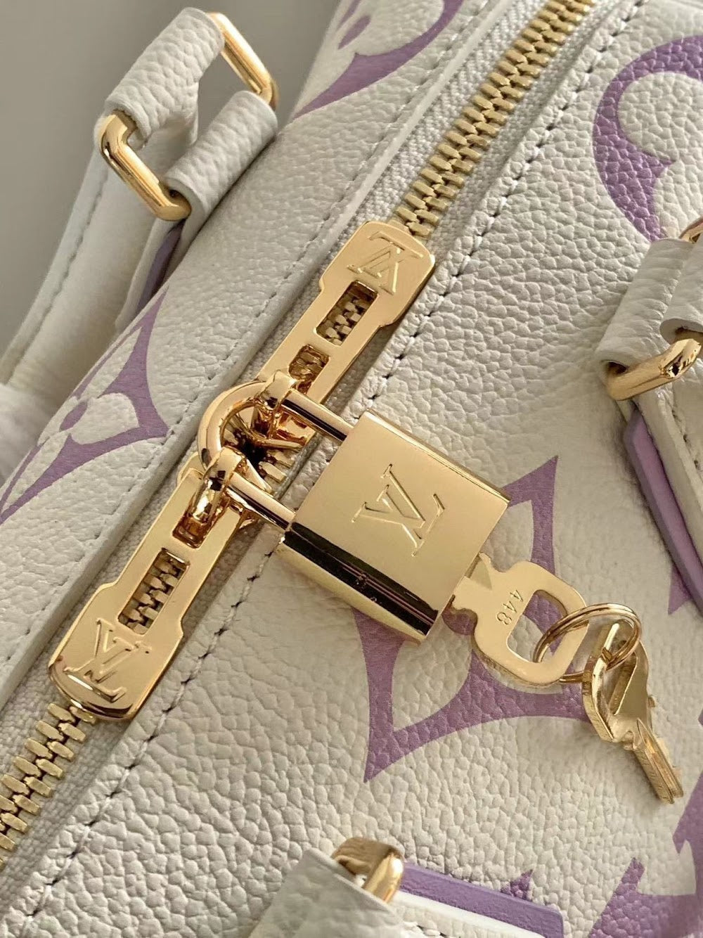 Dragons Bags ln Luxury Bag --97037