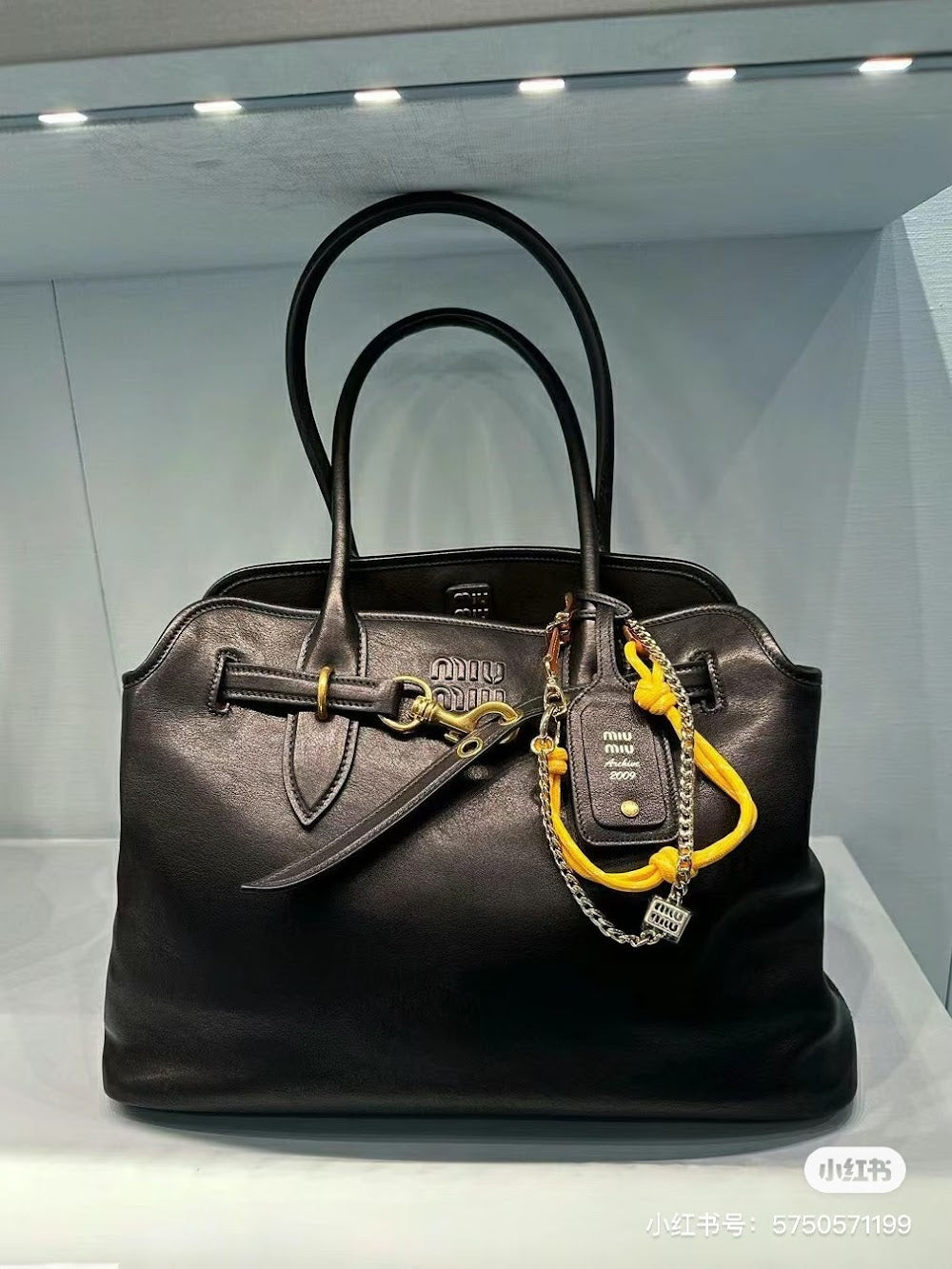 Dragons Bags Miun Miun Luxury Bag --122450