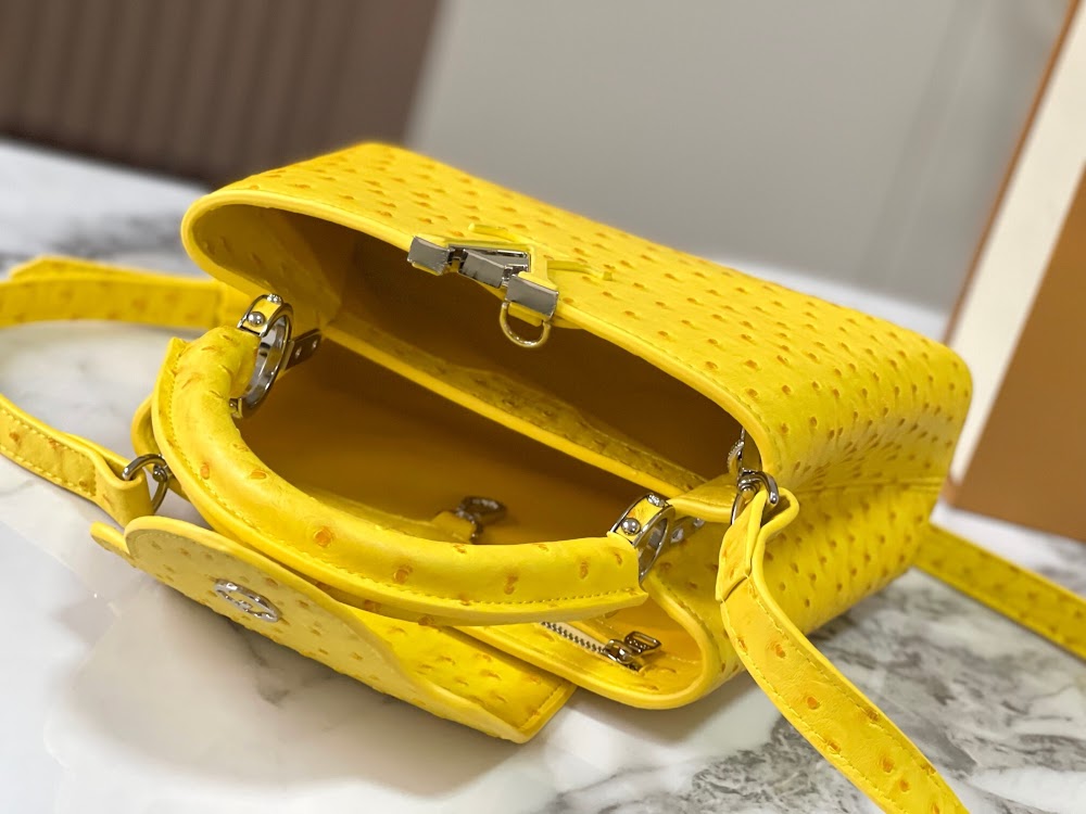 Dragons Bags LVn Luxury Bag --80708