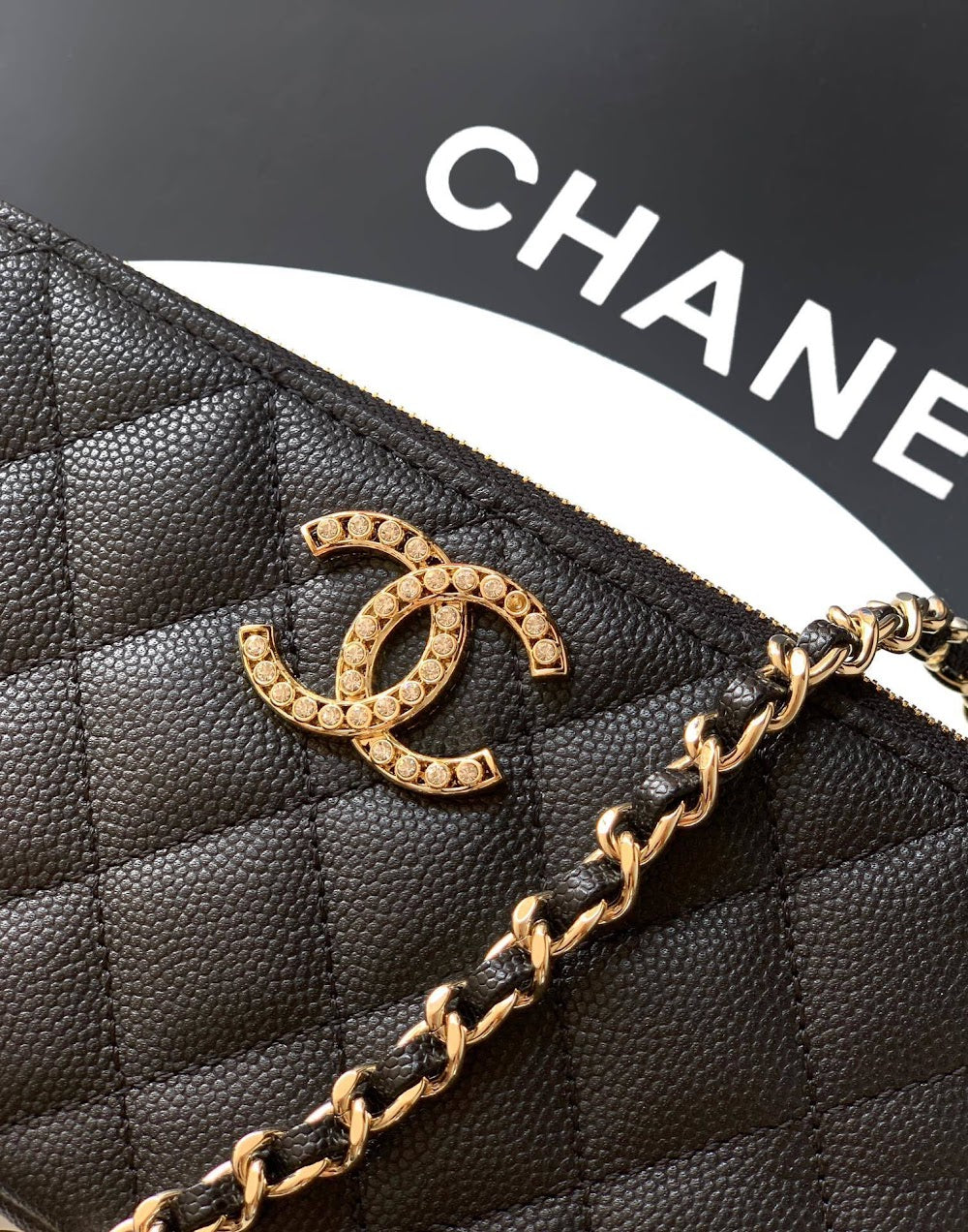 Dragons Bags CHn Luxury Bag --113038