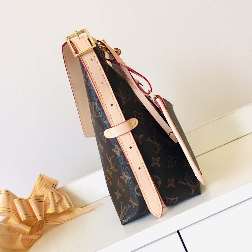 Dragons Bags LVn Luxury Bag --81037