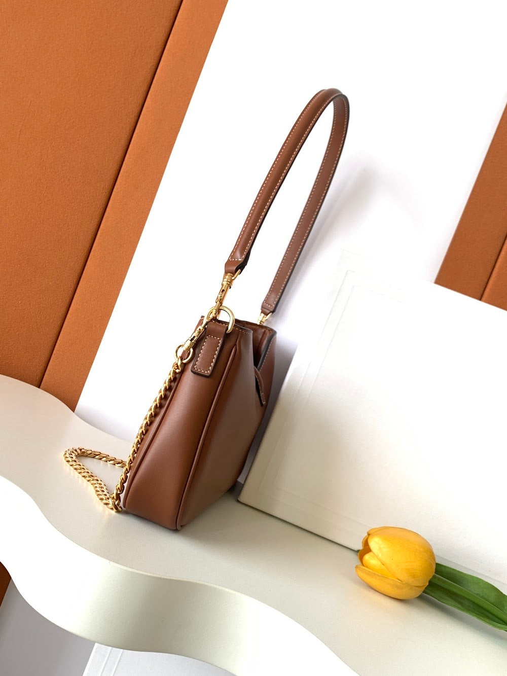 Dragons Bags Celine Luxury Bag --112089
