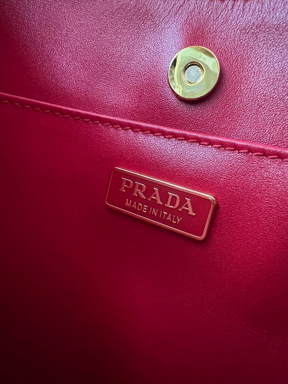 Dragons Bags Pradn Luxury Bag --101579