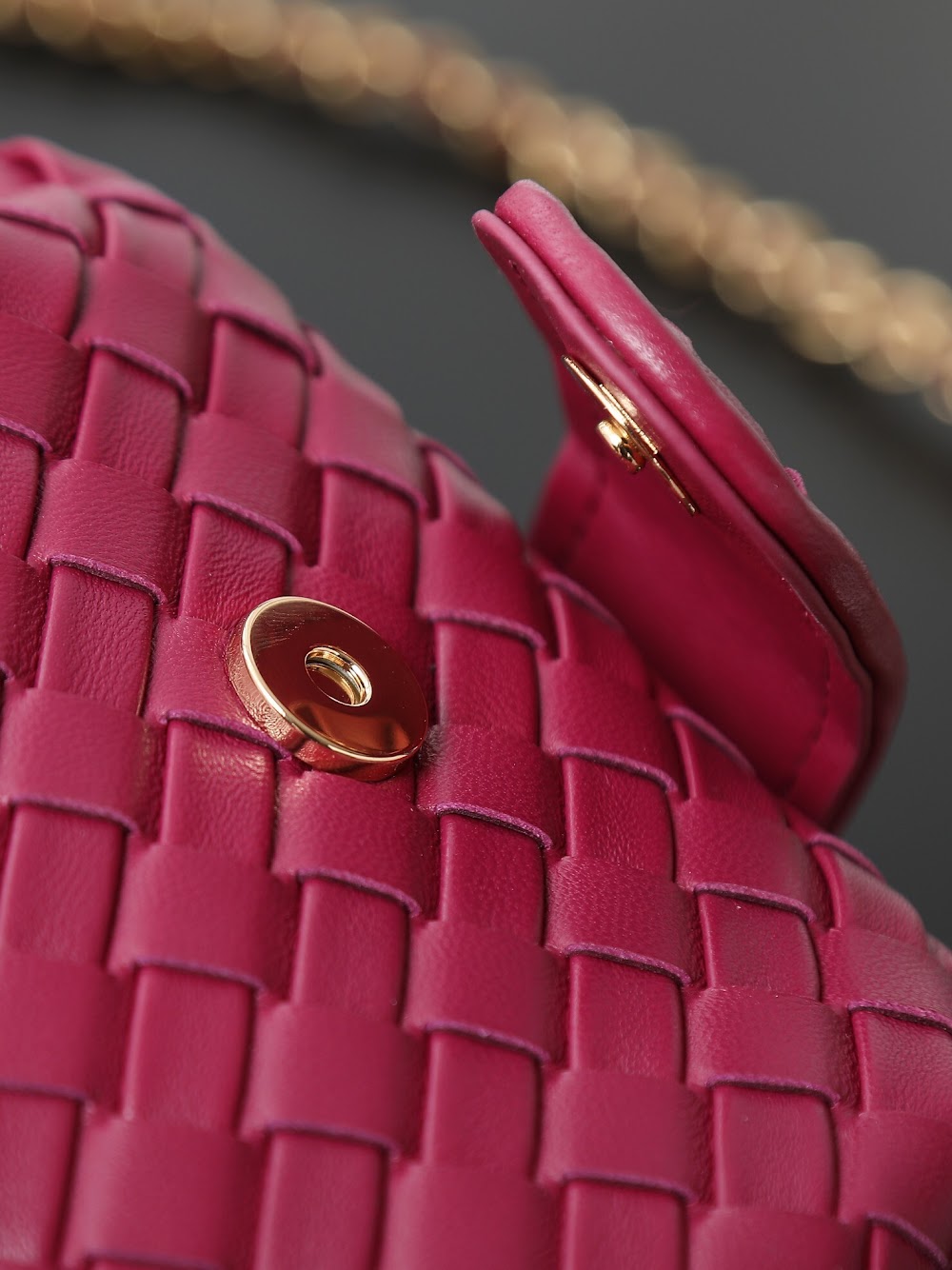 Dragons Bags Bottegan Luxury Bag --91352