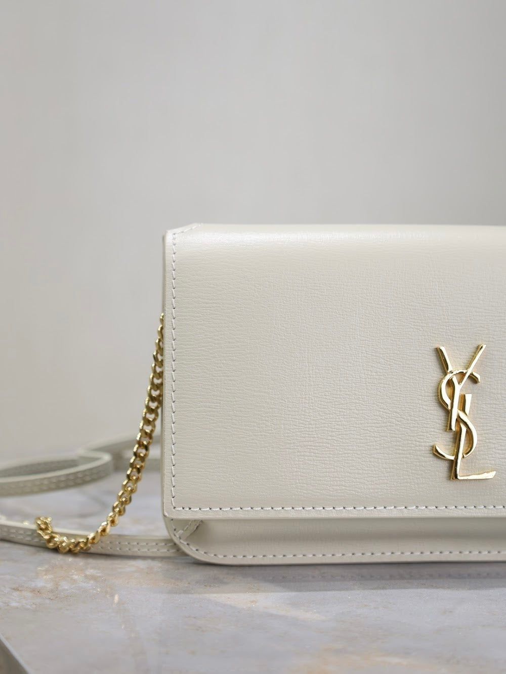 Dragons Bags YSLn Luxury Bag --120479