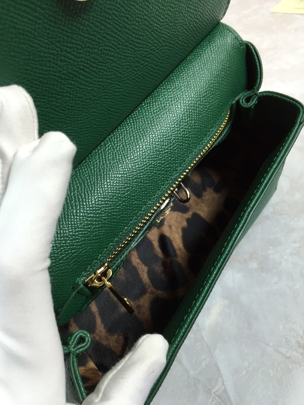 Dragons Bags DGn Luxury Bag --93181