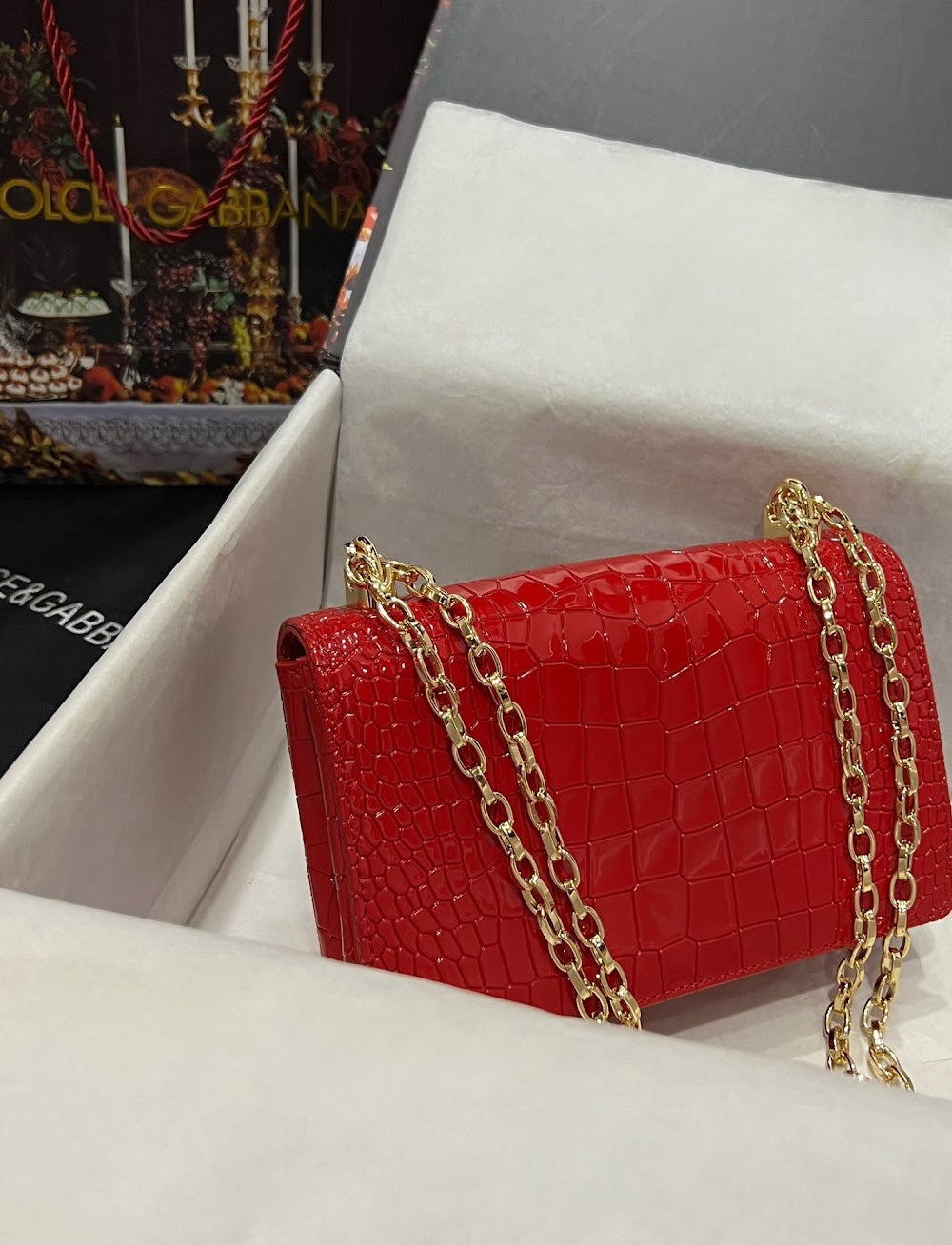Dragons Bags DGn Luxury Bag --93369