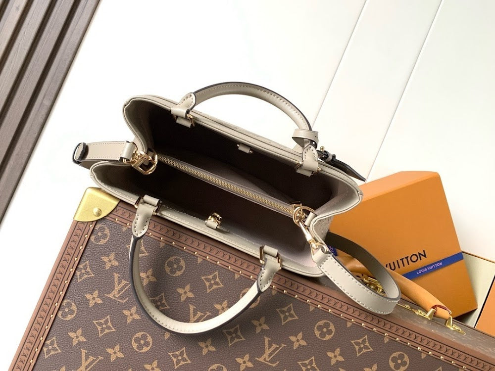 Dragons Bags LVn Luxury Bag --79192