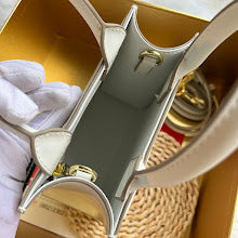 new-luxury-designer-bags-nm6906