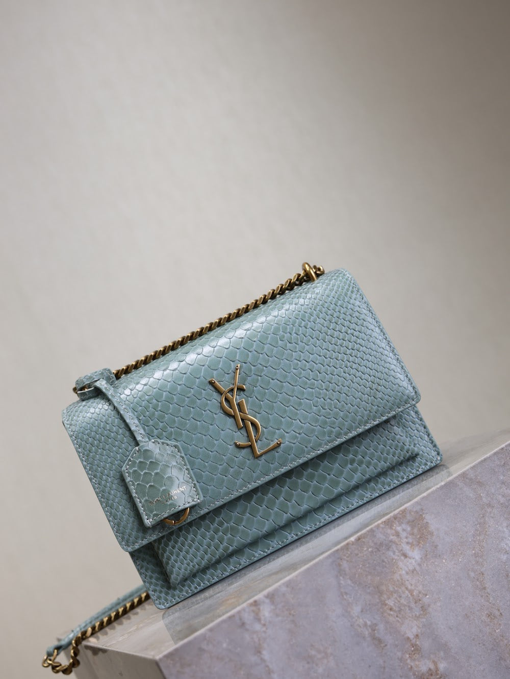 Dragons Bags YSLn Luxury Bag --119172