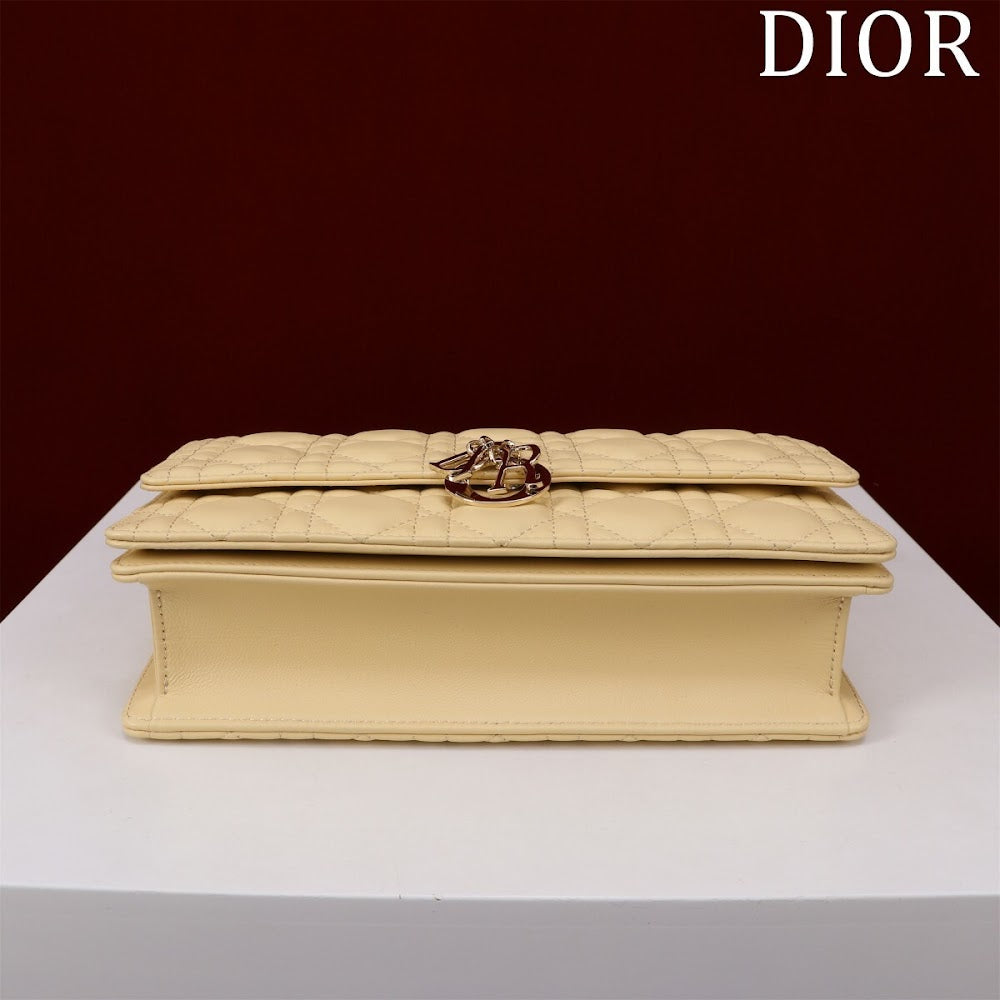 Dragons BagsDiorn Luxury Bag --116293