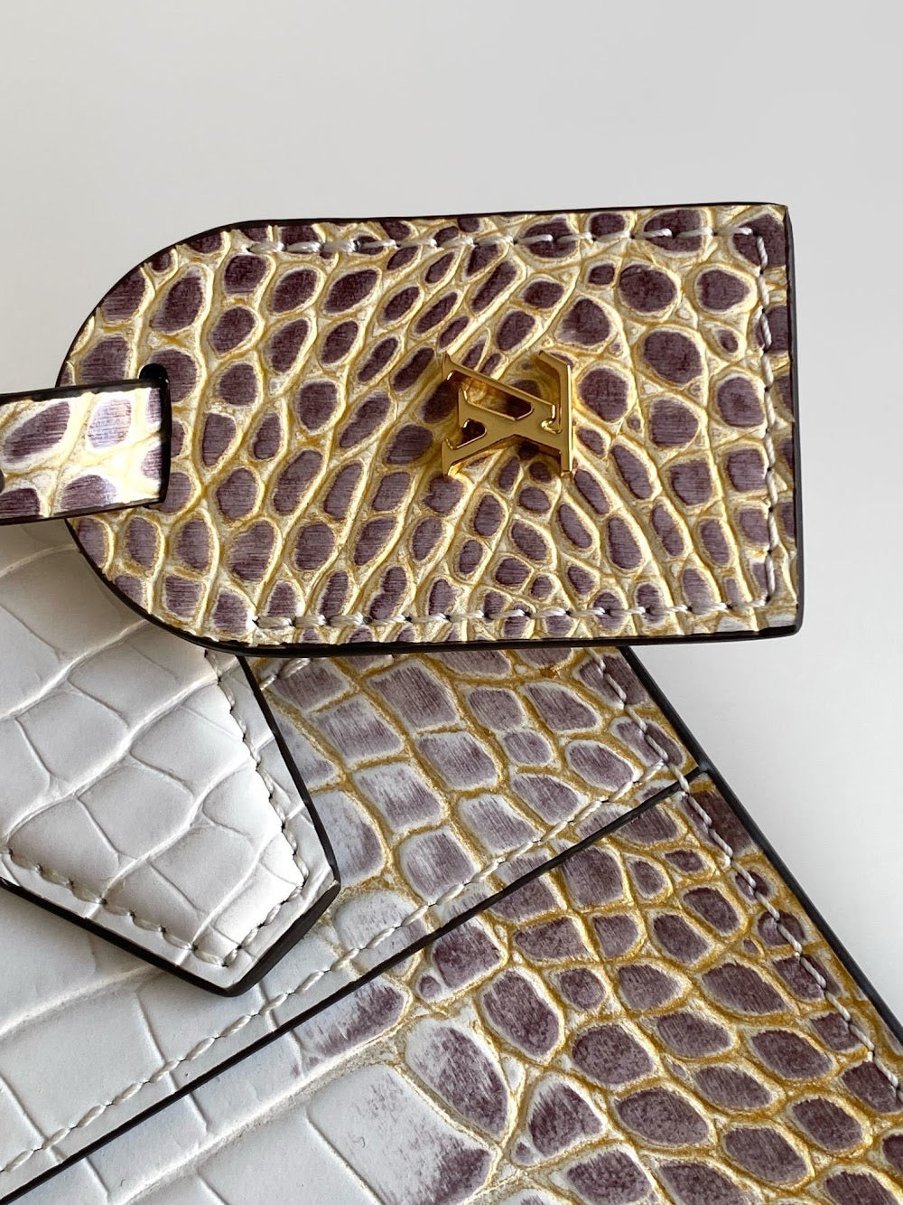 Dragons Bags ln Luxury Bag --96208
