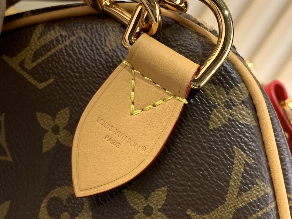 Dragons Bags ln Luxury Bag --56889