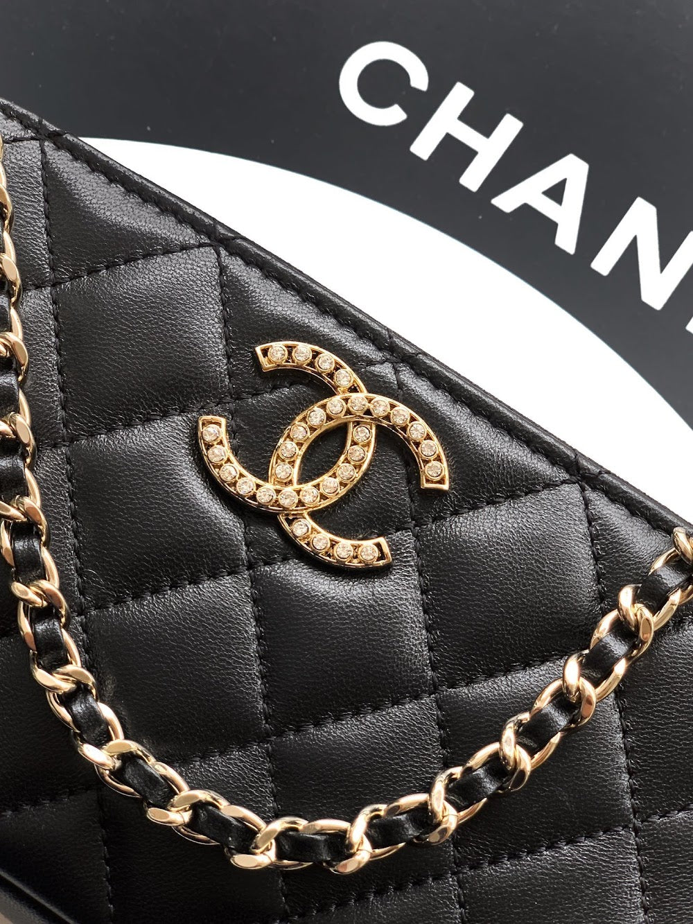 Dragons Bags CHn Luxury Bag --113039
