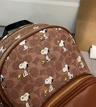 new-designer-premium-bags-nm6278