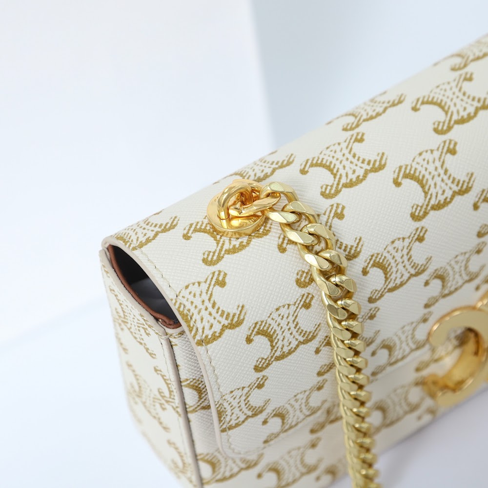 Dragons Bags Celine Luxury Bag --112150