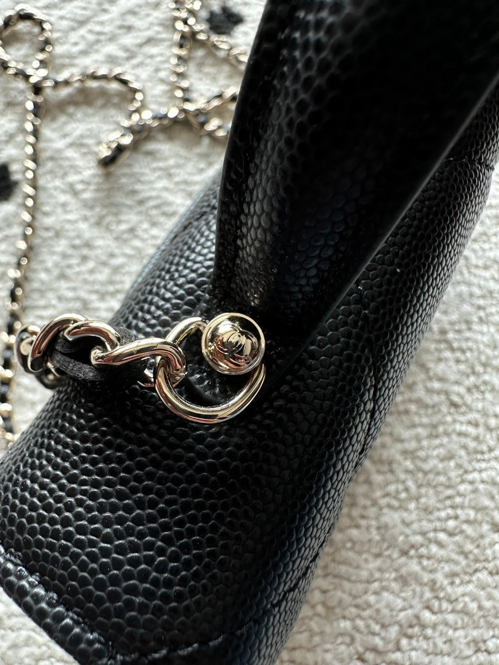 Dragons Bags CHn Luxury Bag --112708