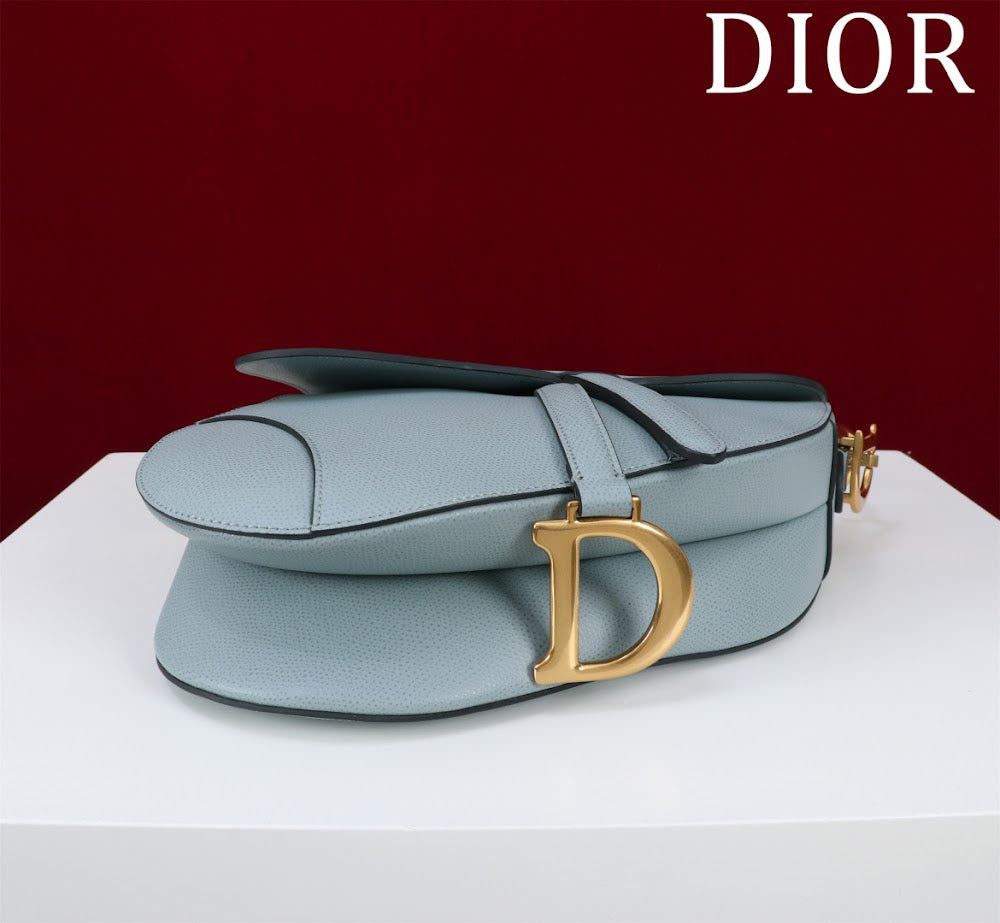 Dragons BagsDiorn Luxury Bag --116503