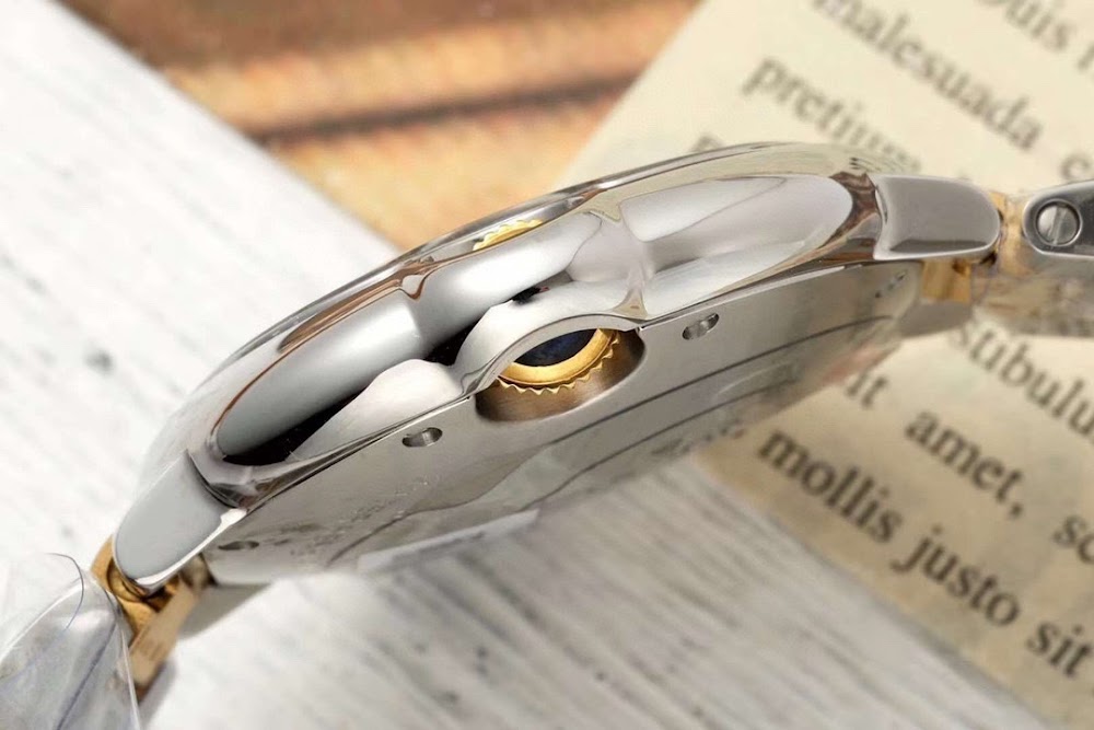 Dragons Bags Luxury Designer Watch --104135