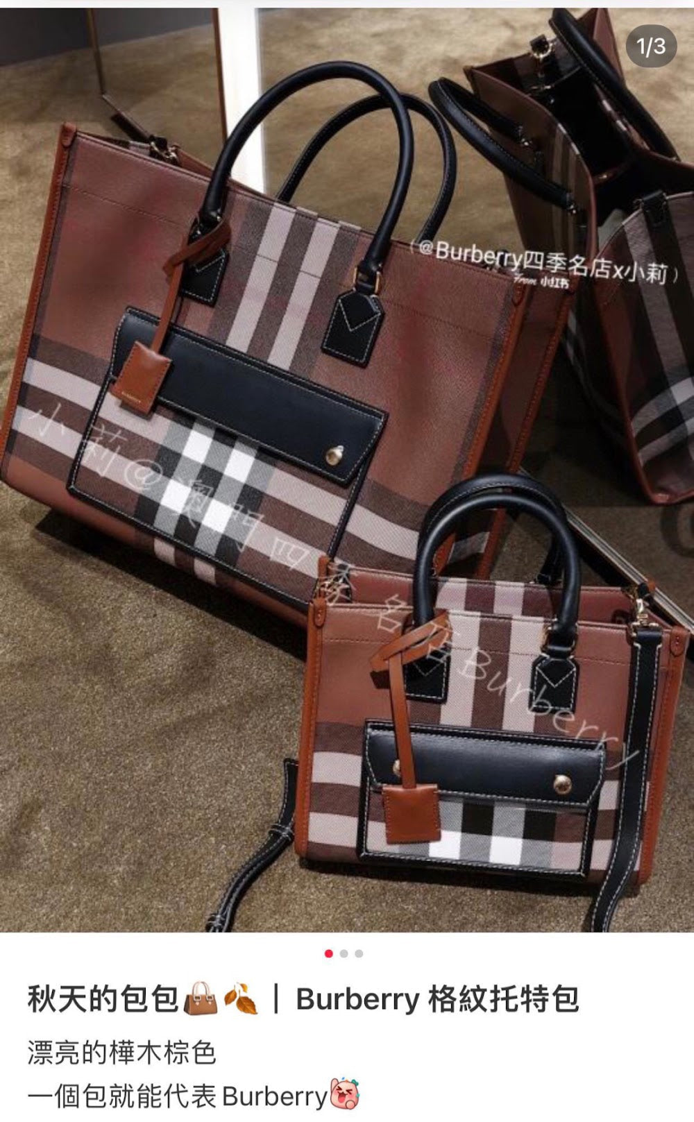 Dragons Bags Burberryn Luxury Bag --92839