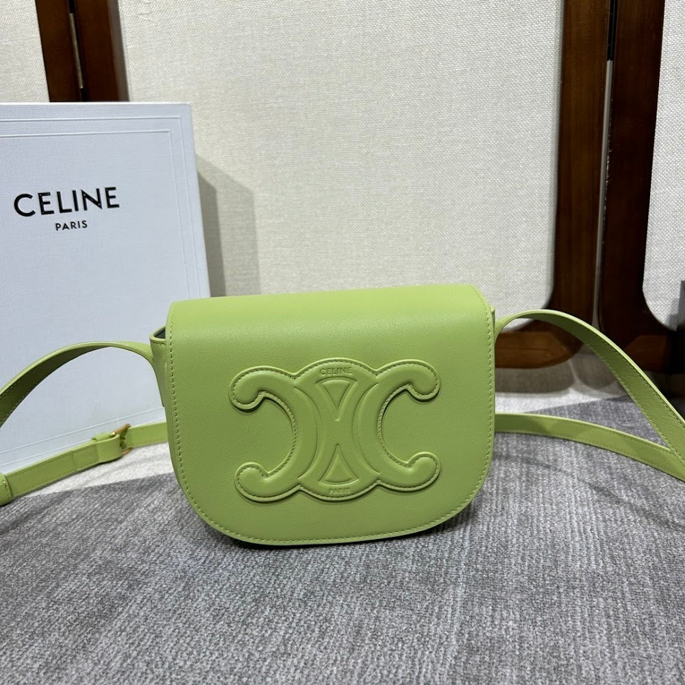 Dragons Bags Celine Luxury Bag --112248