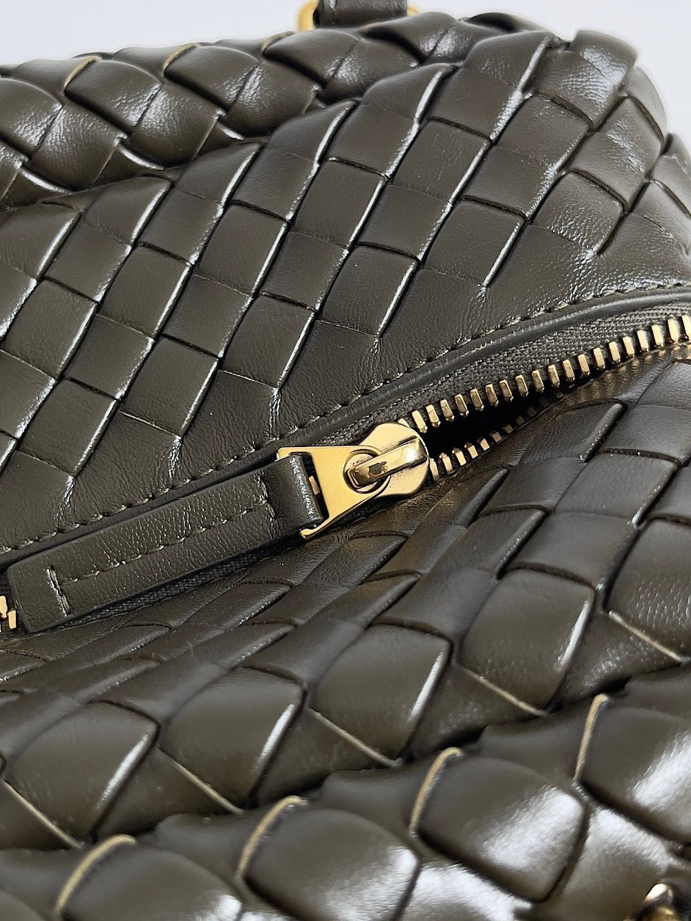 Dragons Bags Bottegan Luxury Bag --91150