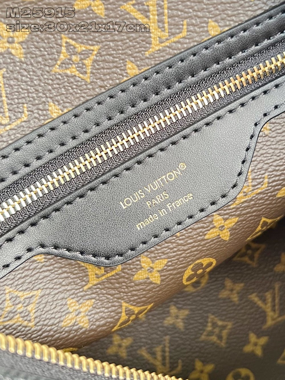 Dragons Bags ln Luxury Bag --95668