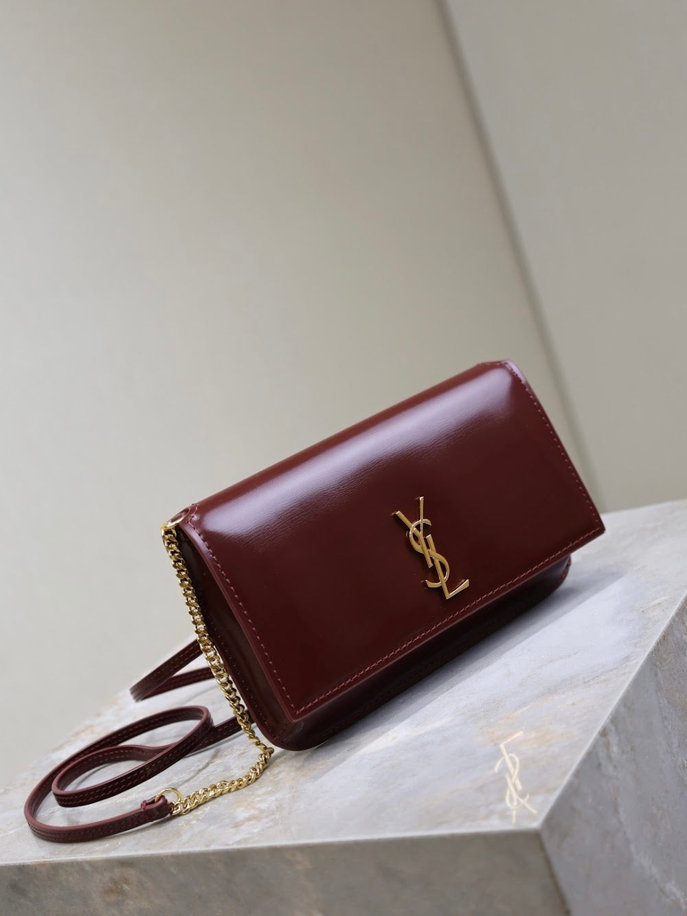 Dragons Bags YSLn Luxury Bag --120481