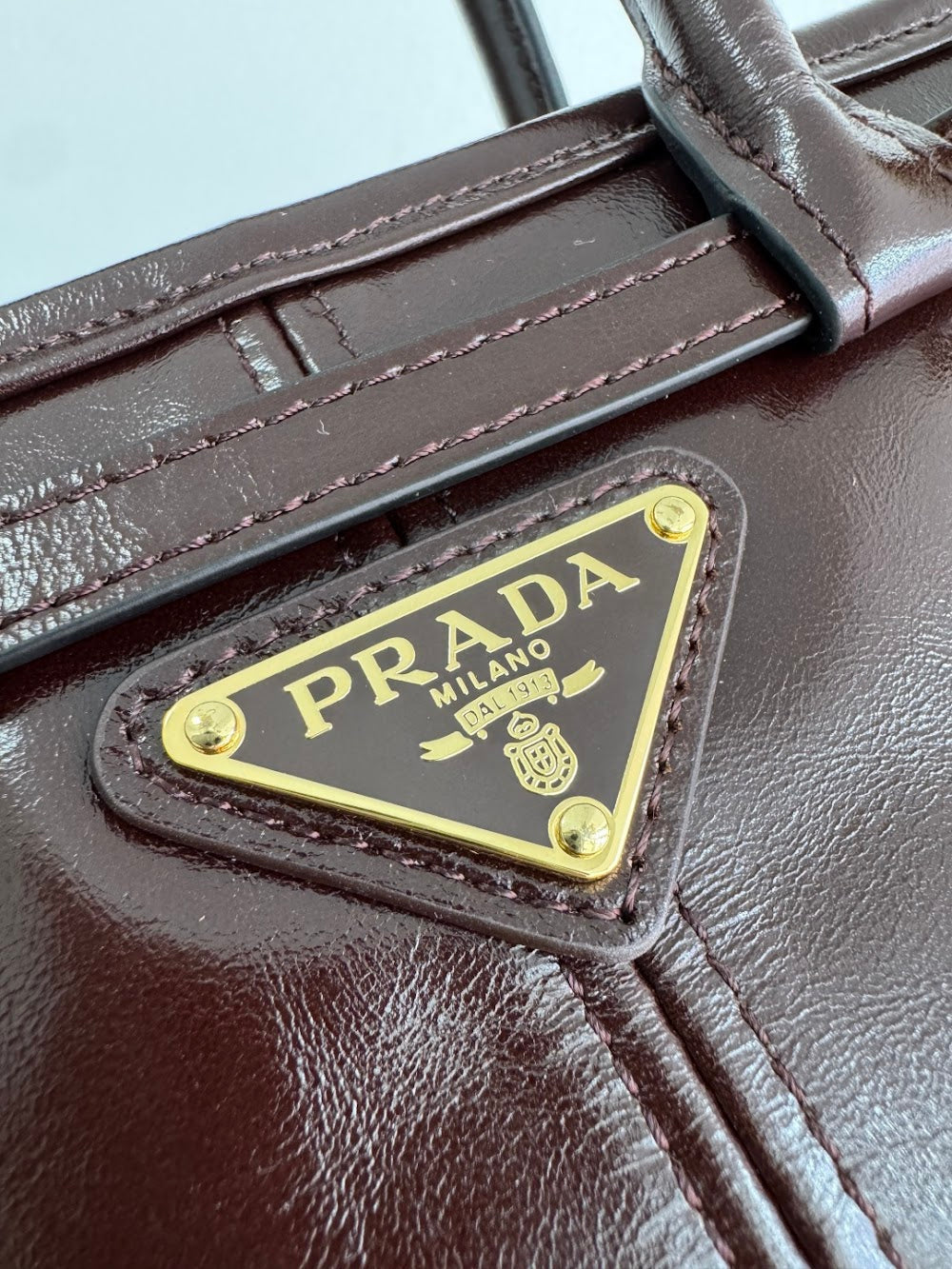 Dragons Bags Pradn Luxury Bag --102475