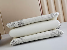 new-designer-premium-bags-nm5167