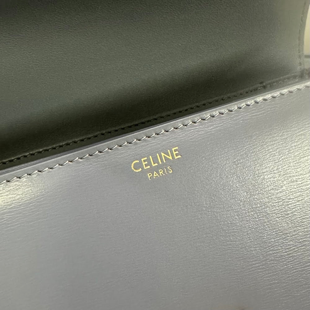 Dragons Bags Celine Luxury Bag --111996