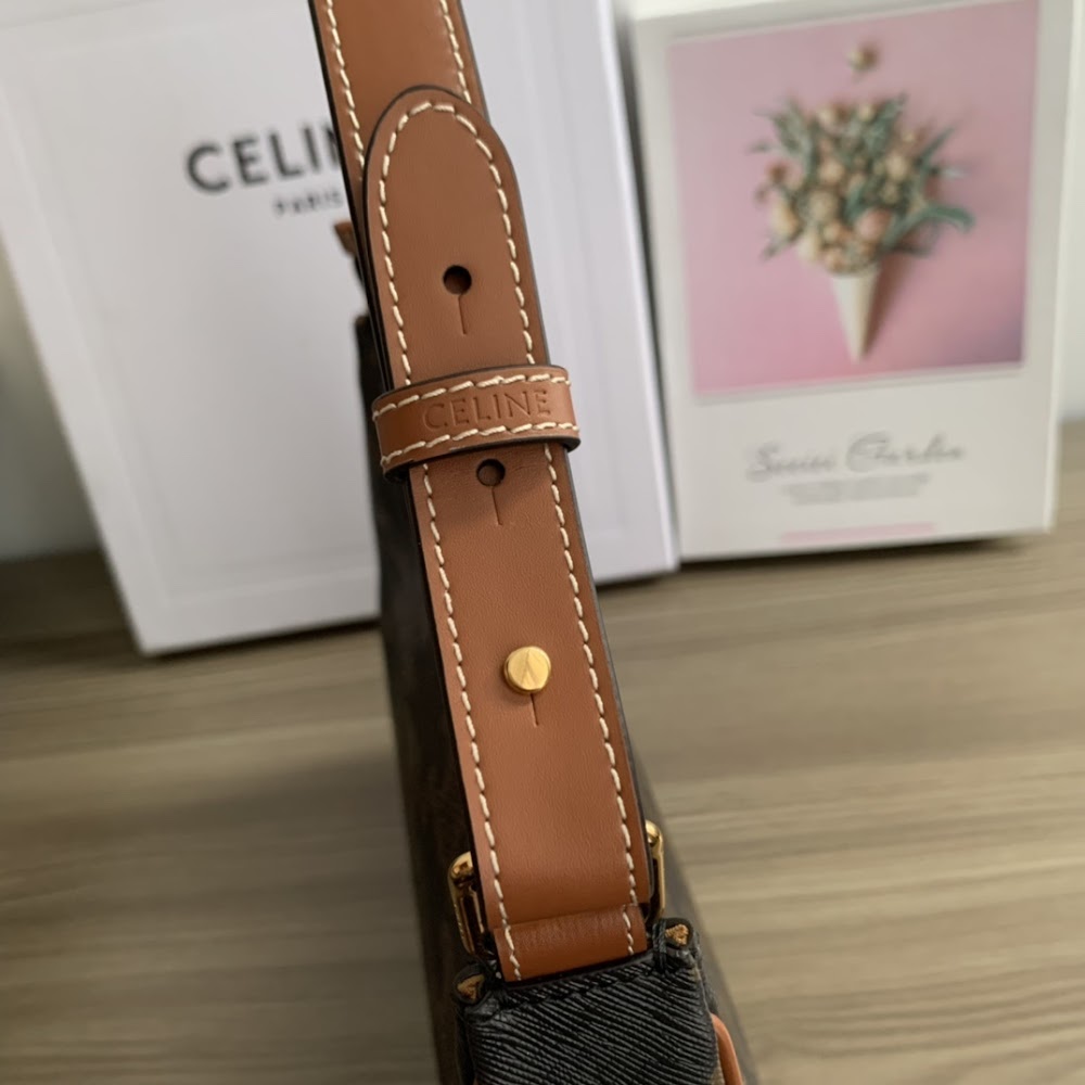 Dragons Bags Celine Luxury Bag --111971