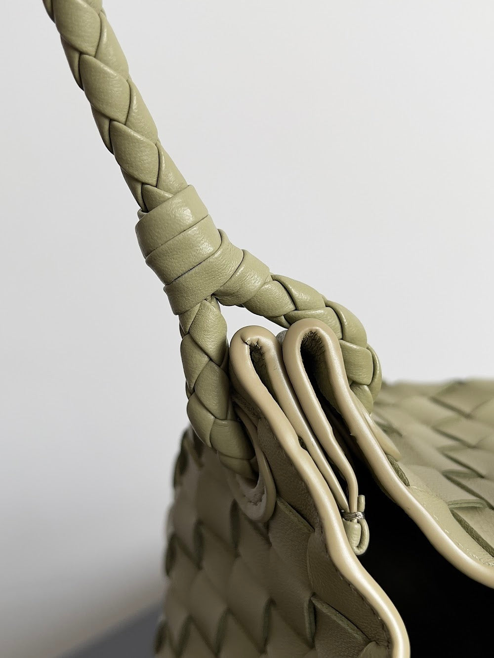 Dragons Bags Bottegan Luxury Bag --90952